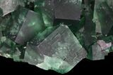Fantastic, Green Fluorite Crystal Cluster - Rogerley Mine, UK #99453-1